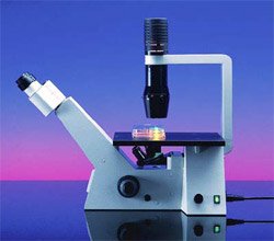 Axiovert 40  ( 40C)   Carl Zeiss
